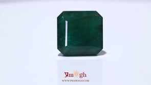 Zambian Emerald - 54.95 Carat