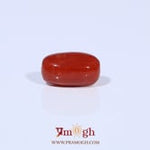 Red Coral - 3.26 Carat