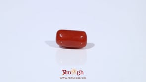 Red Coral - 3.6 Carat