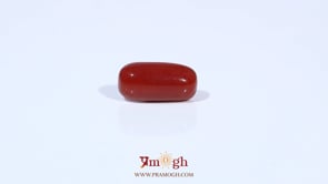 Red Coral - 3.29 Carat