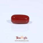 Red Coral - 3.29 Carat