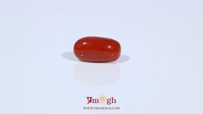 Red Coral - 3.38 Carat