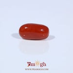Red Coral - 3.38 Carat