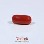 Red Coral - 3.69 Carat