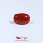 Red Coral - 3.6 Carat