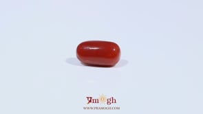 Red Coral - 3.2 Carat