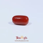 Red Coral - 3.2 Carat