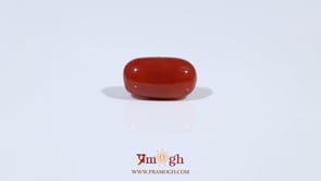 Red Coral - 3.4 Carat