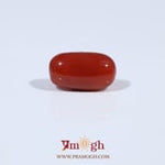 Red Coral - 3.4 Carat