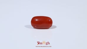 Red Coral - 3.81 Carat
