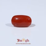 Red Coral - 3.81 Carat