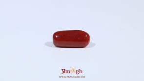 Red Coral - 3.85 Carat