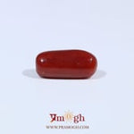 Red Coral - 3.85 Carat
