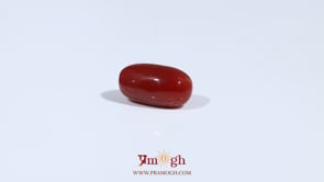 Red Coral - 3.37 Carat