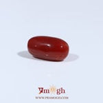 Red Coral - 3.37 Carat