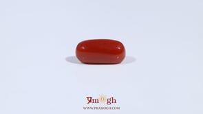 Red Coral - 3.24 Carat