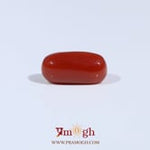 Red Coral - 3.24 Carat