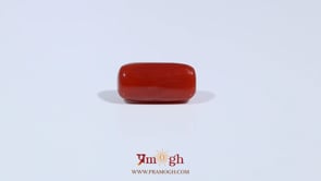 Red Coral - 3.29 Carat