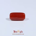 Red Coral - 3.29 Carat