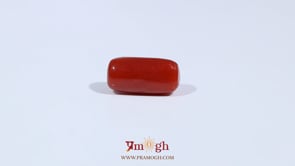 Red Coral - 3.6 Carat