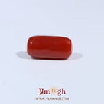 Red Coral - 3.6 Carat
