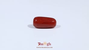 Red Coral - 3.23 Carat