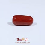Red Coral - 3.23 Carat