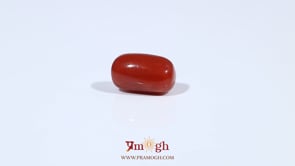 Red Coral - 3.38 Carat