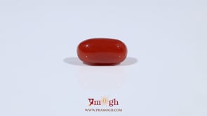 Red Coral - 3.86 Carat