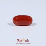 Red Coral - 3.86 Carat