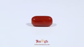 Red Coral - 3.42 Carat