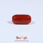 Red Coral - 3.42 Carat