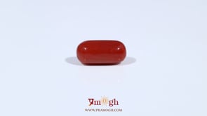 Red Coral - 3.6 Carat