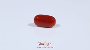 Red Coral - 3.4 Carat