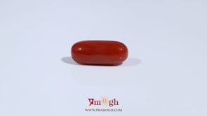 Red Coral - 3.4 Carat