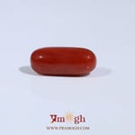 Red Coral - 3.4 Carat