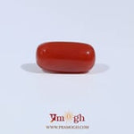 Red Coral - 3.17 Carat