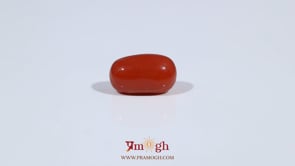 Red Coral - 3.66 Carat