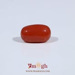 Red Coral - 3.66 Carat