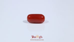 Red Coral - 3.33 Carat