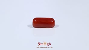 Red Coral - 3.6 Carat