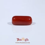Red Coral - 3.6 Carat