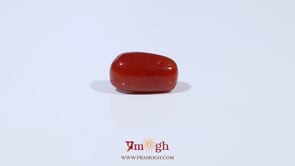 Red Coral - 3.77 Carat