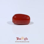 Red Coral - 3.77 Carat