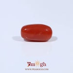 Red Coral - 3.48 Carat