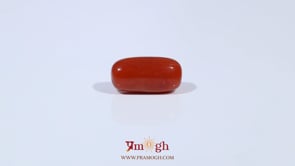 Red Coral - 3.61 Carat
