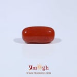 Red Coral - 3.61 Carat