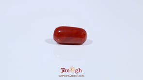 Red Coral - 3.42 Carat