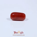 Red Coral - 3.42 Carat
