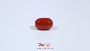 Red Coral - 3.03 Carat